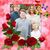 Michelle Marziale Kerrigan's profile image