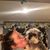 Mikayla Weaver's profile image