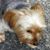 Chris Moxcey's profile image