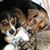 Jeffrey D Ebaugh's profile image