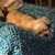 Cheryl Kessler Singley's profile image