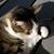 Tom Leegstra's profile image