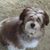 Maryann Ray's profile image