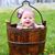 Marian Miller-Photography's profile image