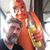 Mike Wilson's profile image