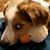Ray Sayre's profile image