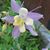 Romy Norberto's profile image