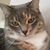 Susan Sitarski Sturm's profile image
