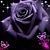 Karen Wlosinski's profile image