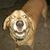 Sarah Ann Johnson's profile image