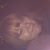 Kay King's profile image