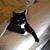 Beth Townsend's profile image