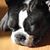 David Reed's profile image