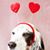 Patti Atlas's profile image