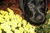 Christina L.'s profile image