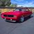 Tim Porter's profile image