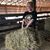 Gretchen Kuhns's profile image