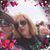 Terri Lynn Caldwell's profile image