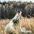 Rita Yarmey's profile image