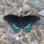 Heather Seiger's profile image