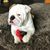 Caprice Kirkpatrick's profile image