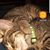 Sabine Von Metzger's profile image