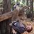 Forest Parenteau's profile image