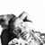 Rickel Burse's profile image