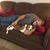 Jared Henderson's profile image