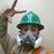 Ramon Yuen's profile image