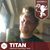 Tay Krieger's profile image
