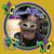 John M Patten's profile image
