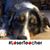Pierina Peng Kun's profile image