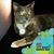 Karen Fitzgerald's profile image