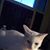 Marian Bober's profile image