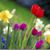 Kathleen Herrman Damron's profile image