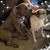 Deena Adams Schmitz's profile image