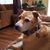 Debbie Phillips's profile image
