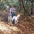 Jill Susan Swanson's profile image