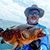 Mark Kyer's profile image