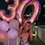 Breanna Marie's profile image