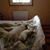 Inger Hurtig's profile image