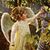 Shirley R. Hamill's profile image