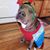 Kristi Williams's profile image