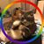 Kellie Ann Verdicchio's profile image