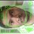 LaMond Davenport's profile image