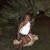 Christine Mazzurco's profile image