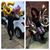 Stacey Winton's profile image