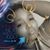Fritzi Lebron's profile image