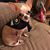 Eric Anthony Wilhelm's profile image